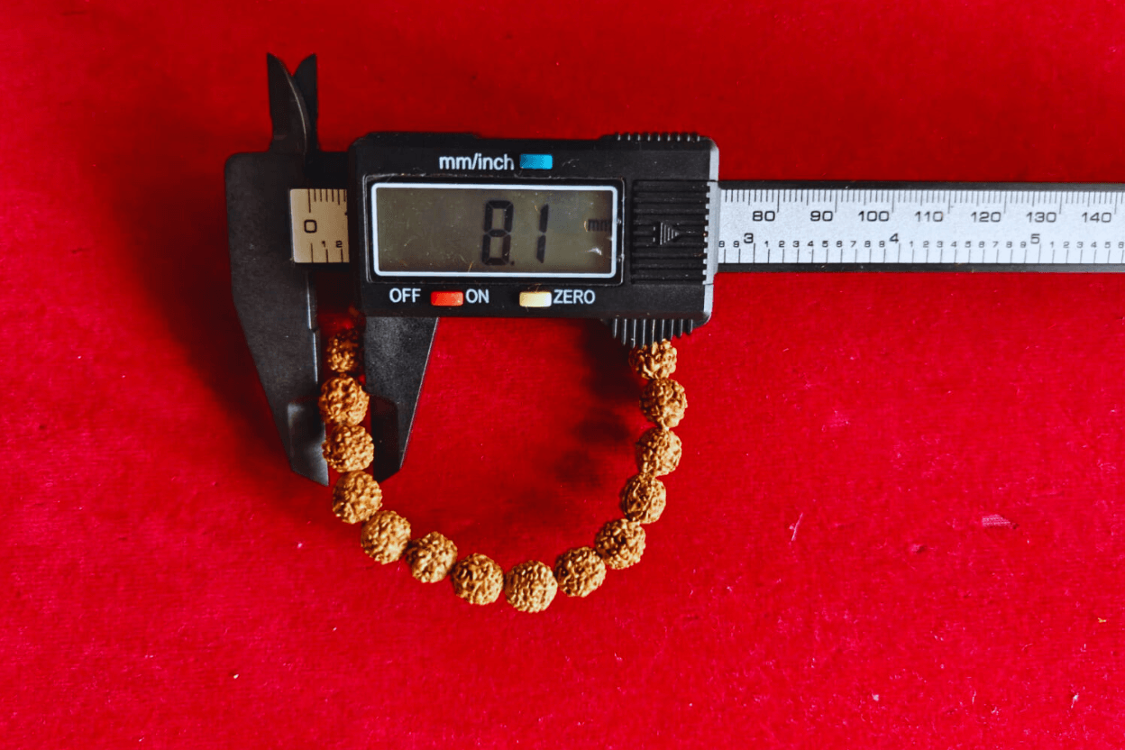 Indonesian Rudraksha Bracelet