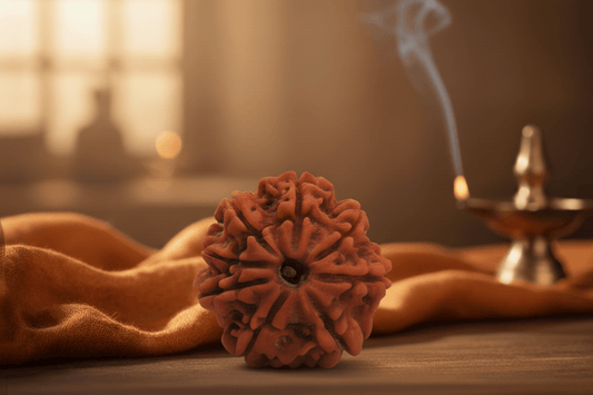 8 Mukhi Nepali  Rudraksha