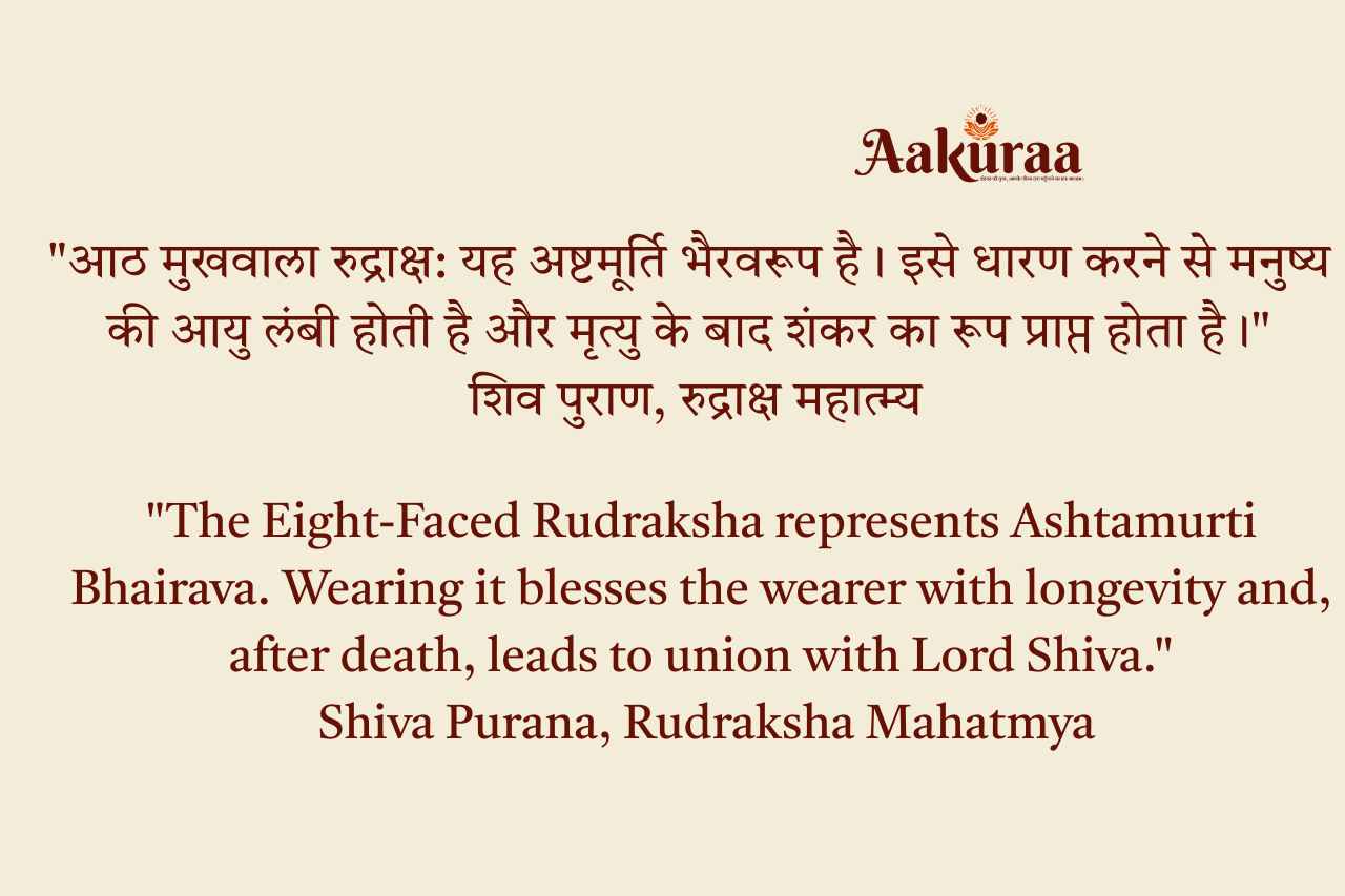8 Mukhi Nepali  Rudraksha
