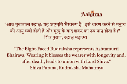 8 Mukhi Nepali  Rudraksha
