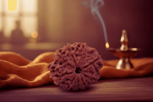 9 Mukhi Nepali Rudraksha