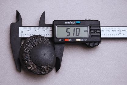 Kali Gandaki Natural Shaligram Shila