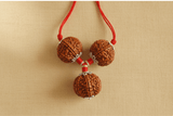 Lakshmi–Shiva Dhan-Gyaan Rudraksha Kavach