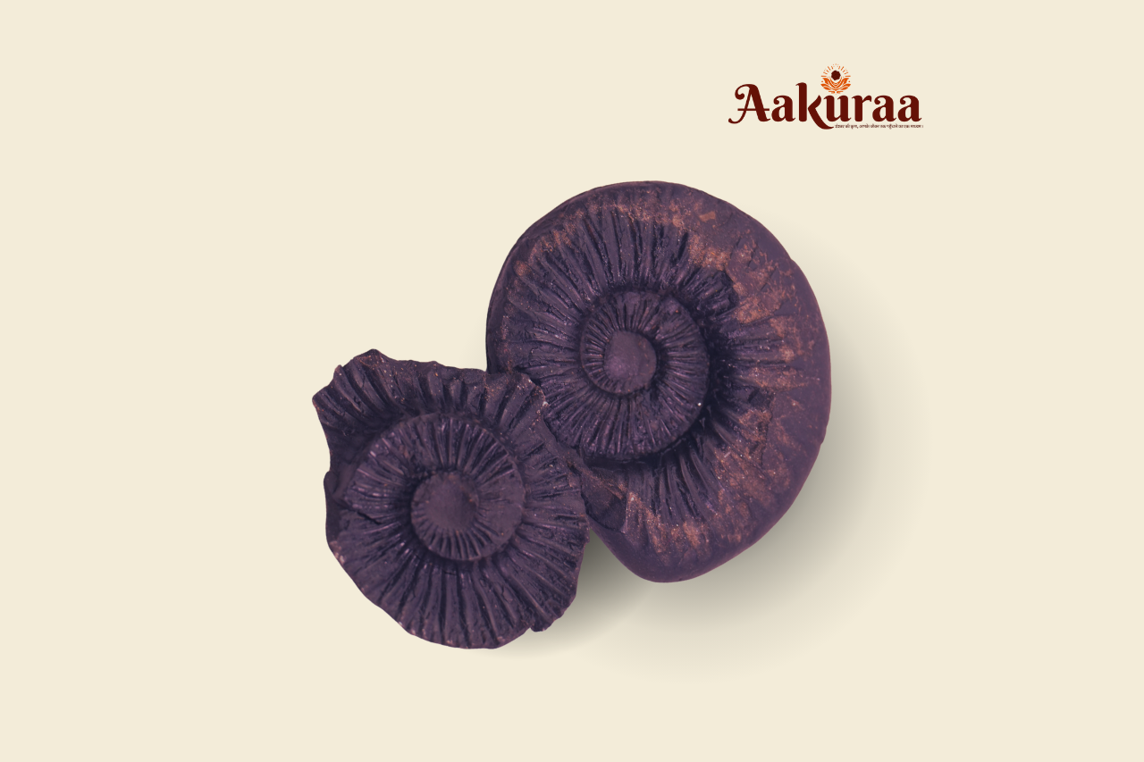 Laxmi Narayan Shaligram Stone Chakra View