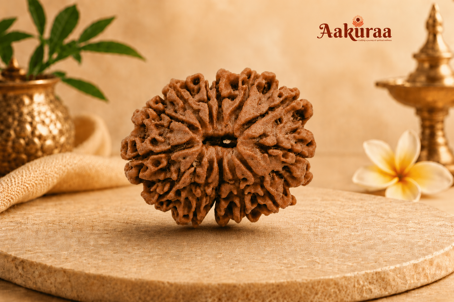 Buy original 13 Mukhi Nepali Rudraksha online from Aakuraa