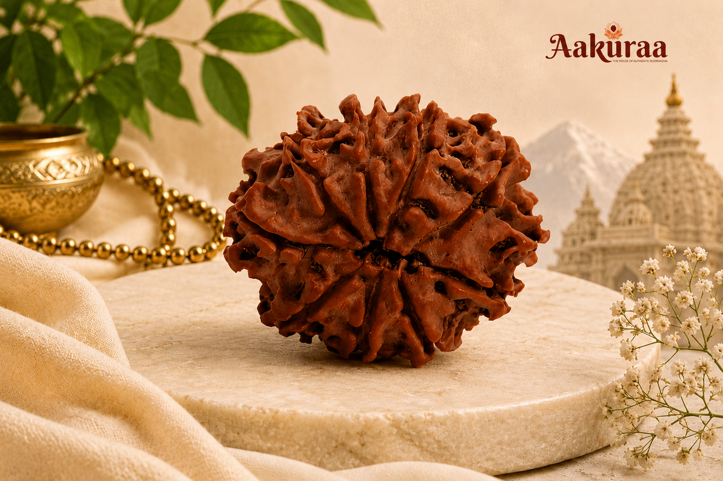 Original 9 Mukhi Rudraksha for courage and protection