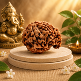 प्राकृतिक गणेश रुद्राक्ष