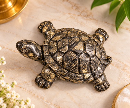 Bye Pyrite Turtle