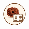 Rudraksha Guide