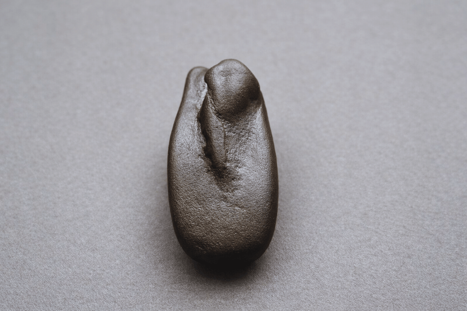 Buy Nepal Shaligram Stone Online | Kali Gandaki Shaligram – Aakuraa.com