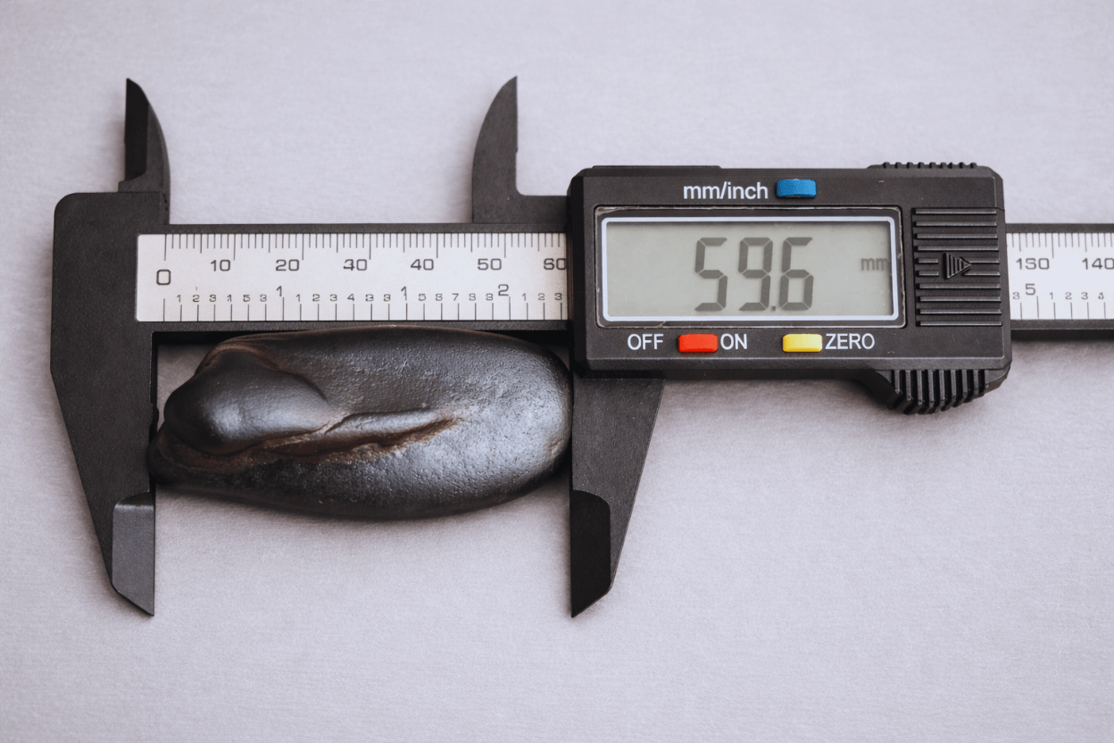 Sacred Gandaki Shila - Vinayak Form