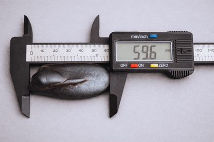 Sacred Gandaki Shila - Vinayak Form