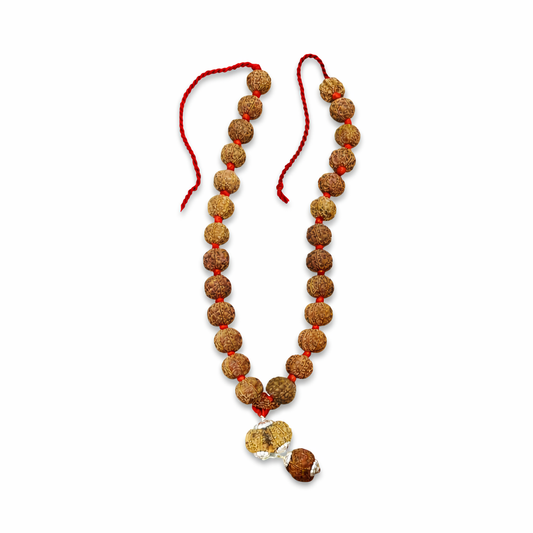 Sarv Siddh Rudraksha Mala – 27 Bead Sanatan Edition - 1 to 14 Mukhi Rudraksha