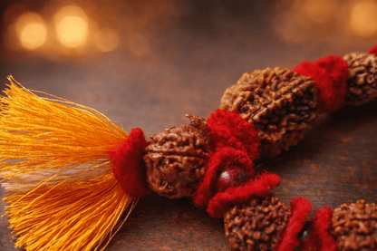 Sarva Siddhi Rudraksha Bracelet