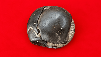 Shri Madhav Shaligram Ji
