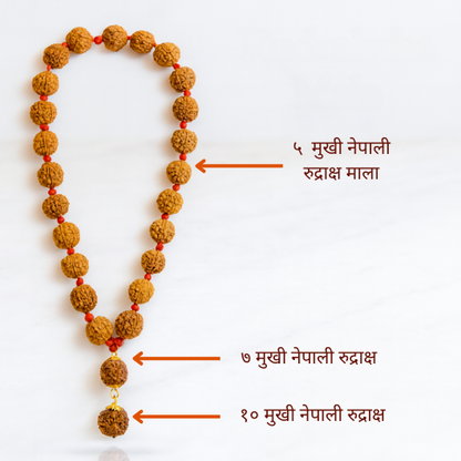Trishaki Rudraksha Kavach 5 Mukhi Mala With 7-10 Mukhi Rudraksha Description